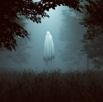 Evil Spirit Removal